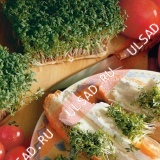 Кресс-салат Дукат